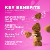 Dog UTI Treatment Dog Cranberry Supplement for Urinary Tract Bladder Kidney Health Incontinence Support Bladder Control Cranberry Chews Cranberry Supp