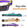 Waterproof Stain-Resistant Dog Collar, Green & Pink Color Block Pet Neck Strap, Adjustable Quick-Release Buckle, Comfortable No Choking